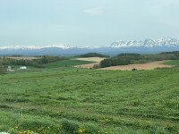 IMG_7326