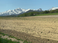 IMG_7090