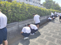 IMG20250527150519