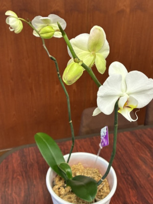 image0